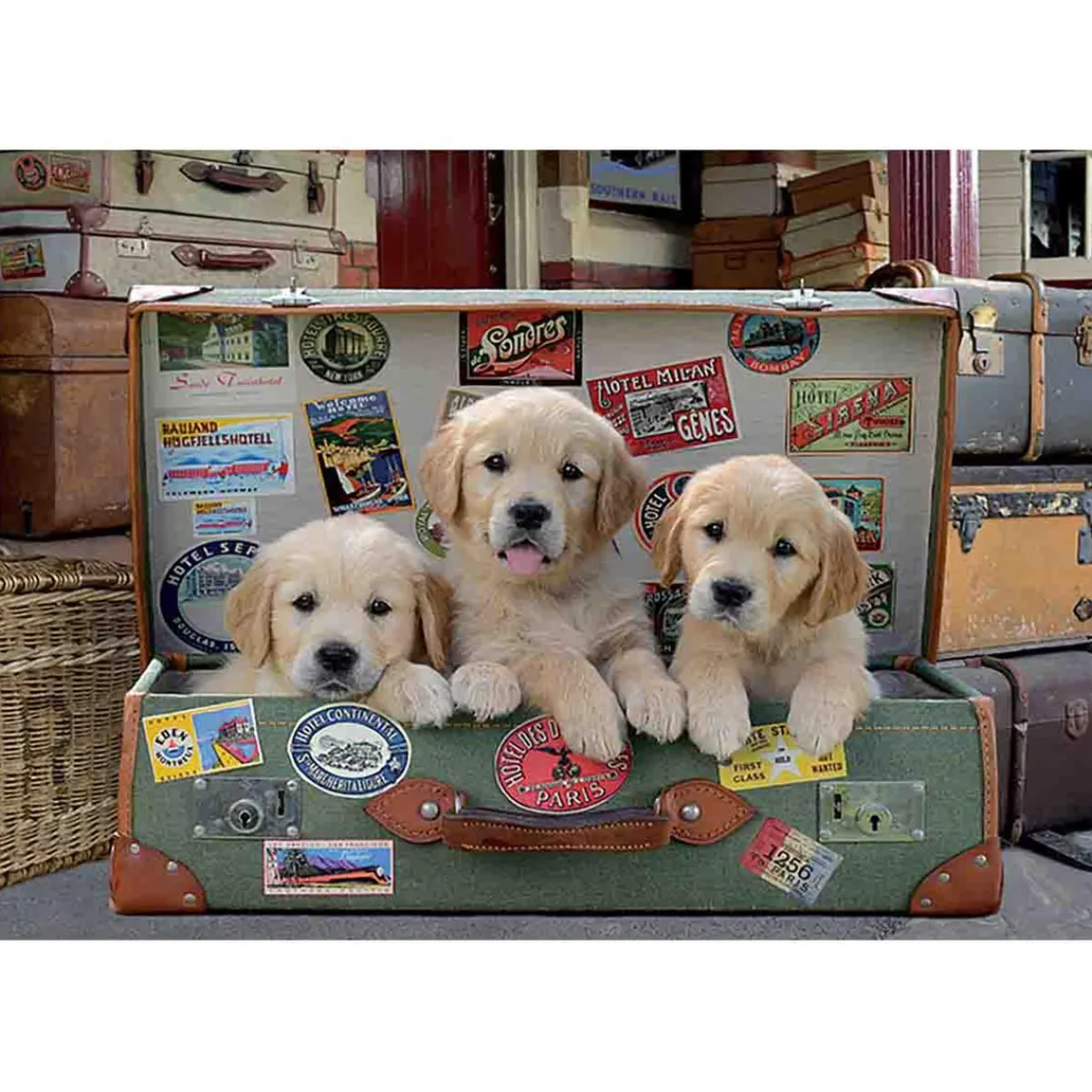 Outlet Borras - Cachorros en el Equipaje - 500 Piezas Juegos Y Puzzles