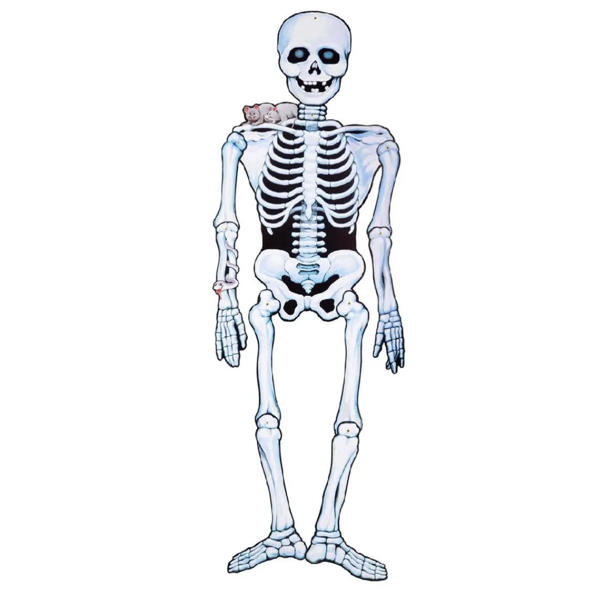 Esqueleto de papel 140 cm*TOYS "R" US