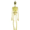 Clearance Guirnaldas decorativas para fiestas y eventos ㅤ Disfraces|Halloween
