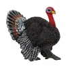 Outlet - Pavo Coleccionables Y Mini Mundos