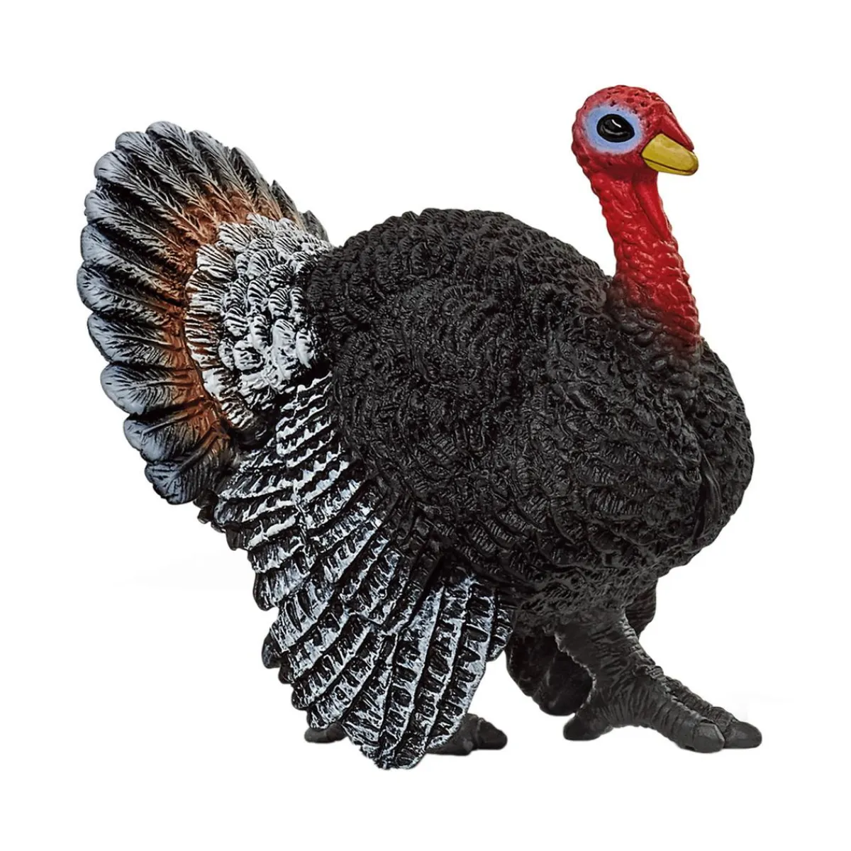Outlet - Pavo Coleccionables Y Mini Mundos