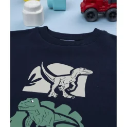 Sudadera niño azul estampada